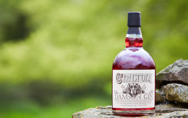 Damson gin